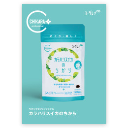 カラハリスイカのちから　パンフレット