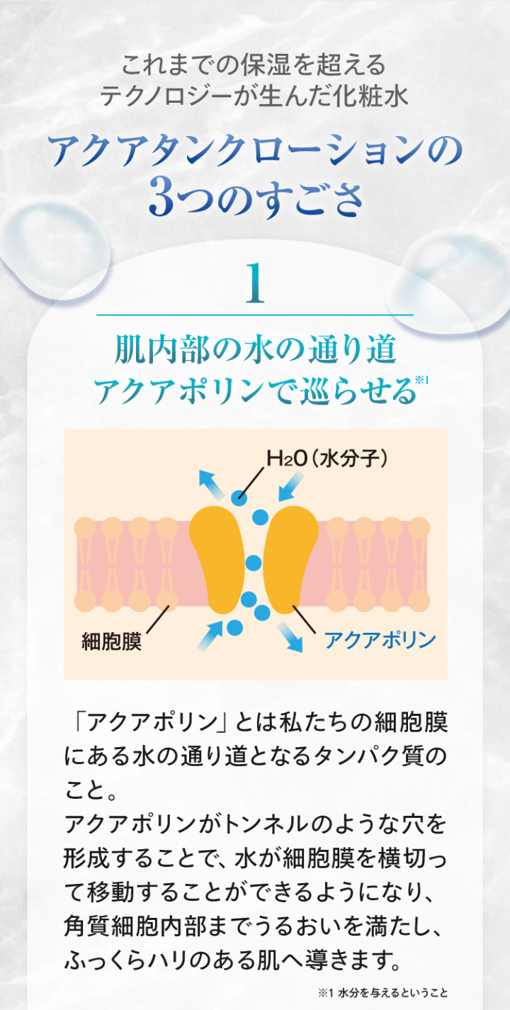 アクアタンクローションの3つのすごさ 1：肌内部の水の通り道アクアポリンで巡らせる