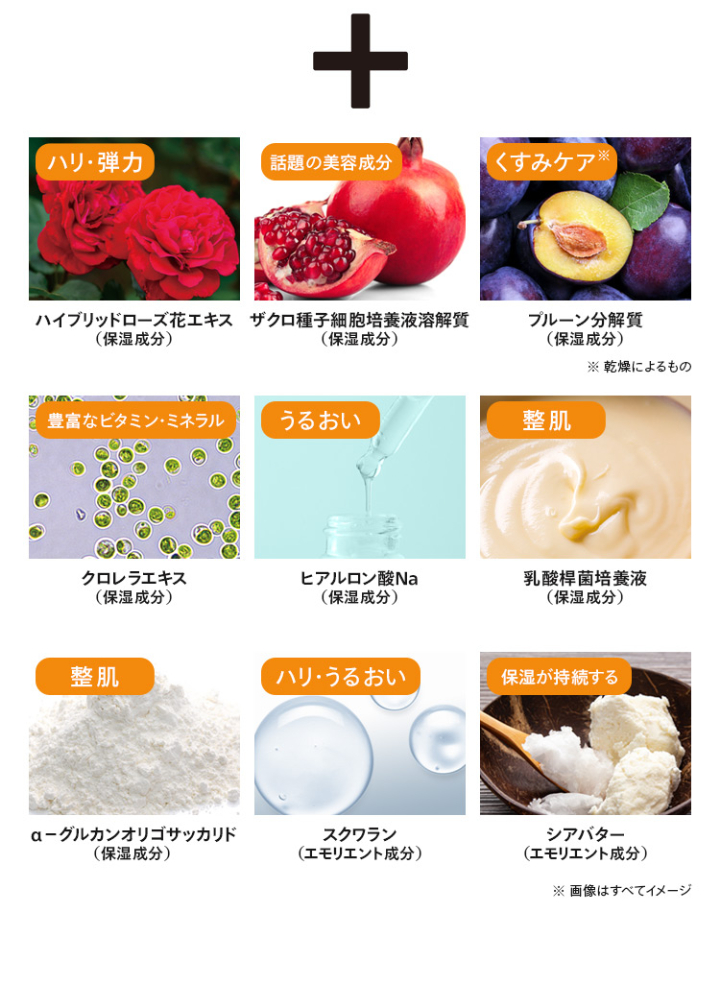 厳選したエイジングケア成分