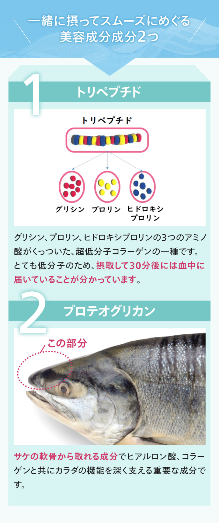 一緒に摂ってスムーズにめぐる美容成分2つ