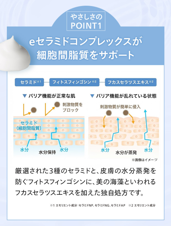 やさしさのPOINT1 eセラミドコンプレックスが細胞間脂質をサポート