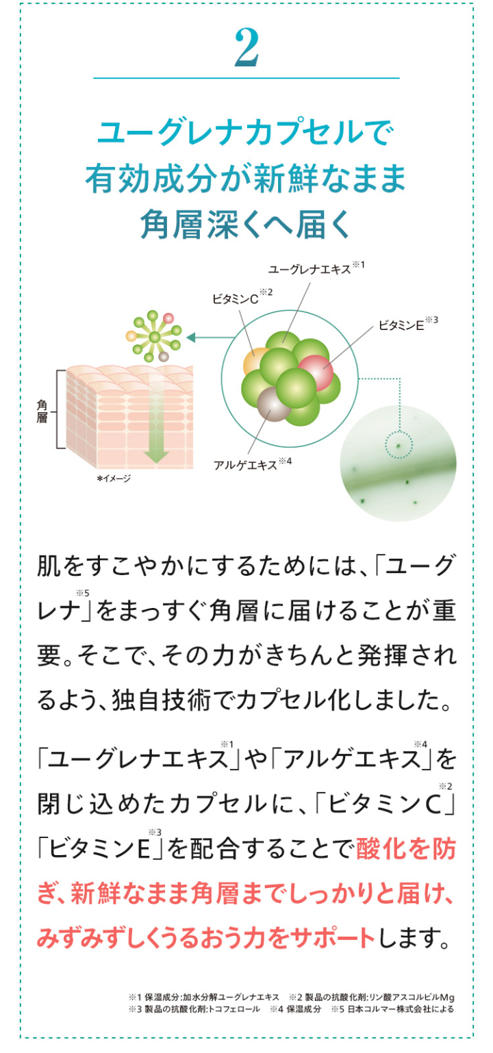 2.ユーグレナカプセルで有効成分が新鮮なまま角層深くへ届く