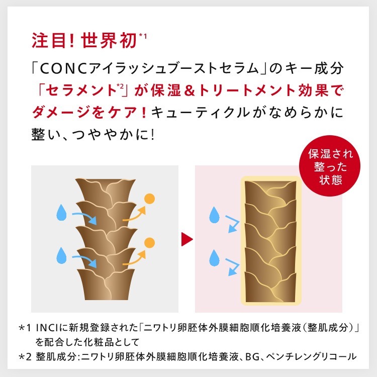 注目！世界初