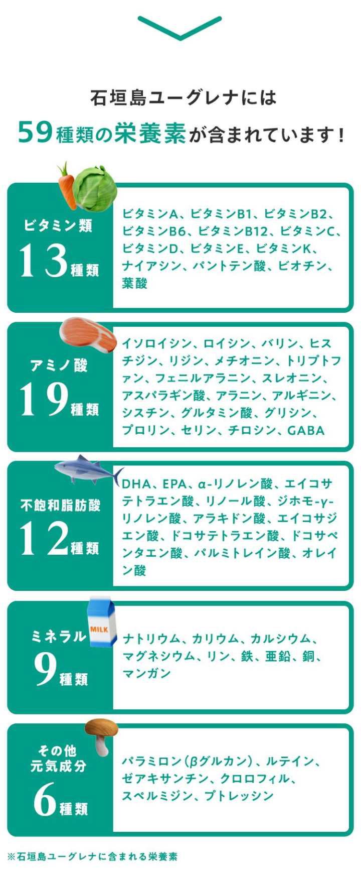 石垣島ユーグレナには59種類の栄養素が含まれています！