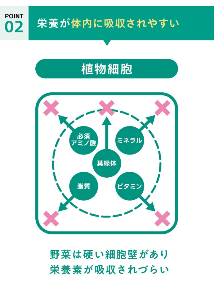 栄養が体内に吸収されやすい