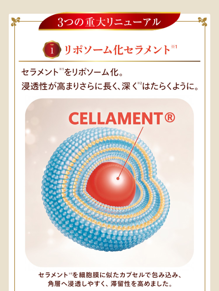 リポソーム化セラメント